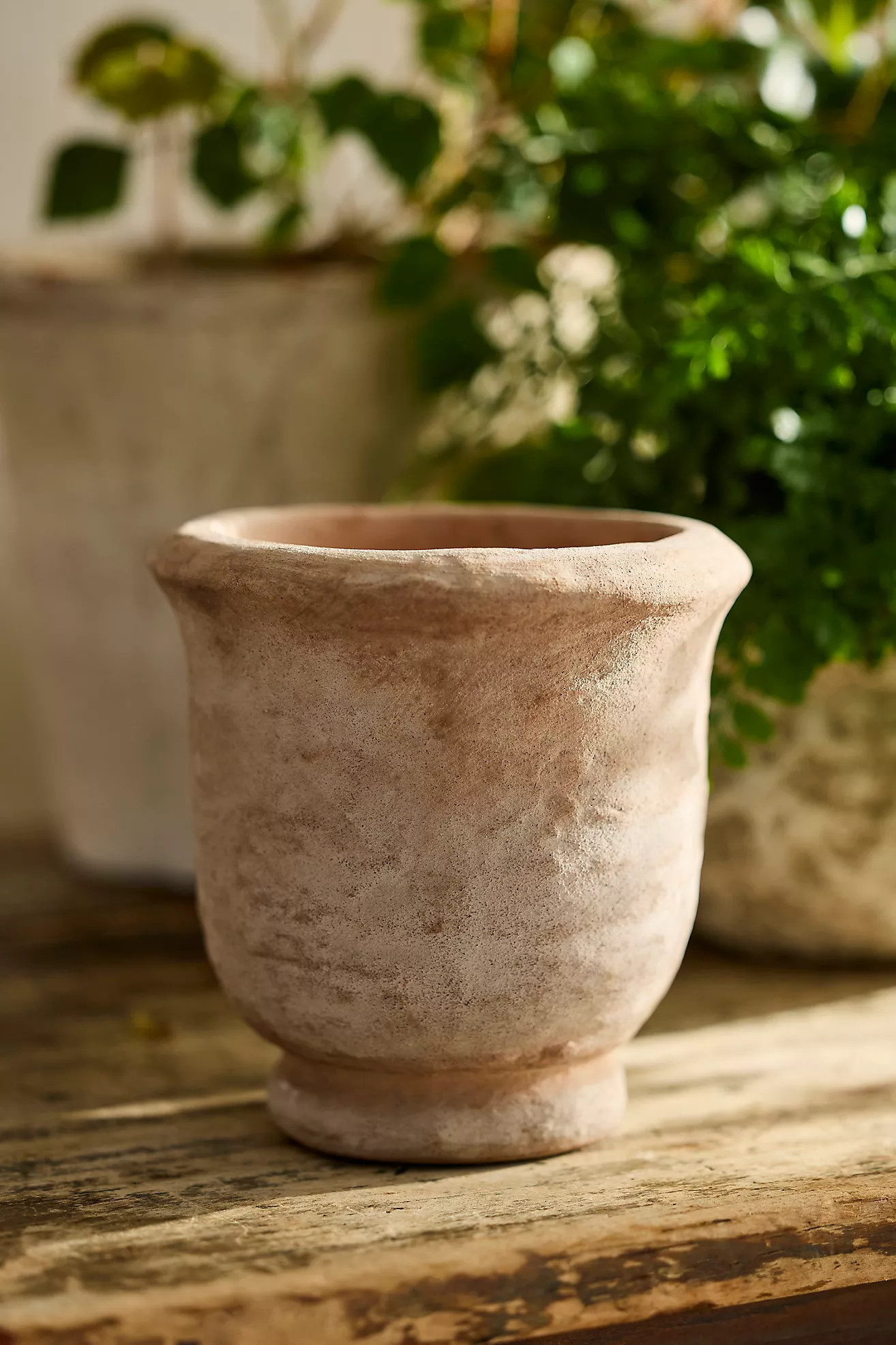 Rolled Rim Terracotta Urn Planter | Terrain