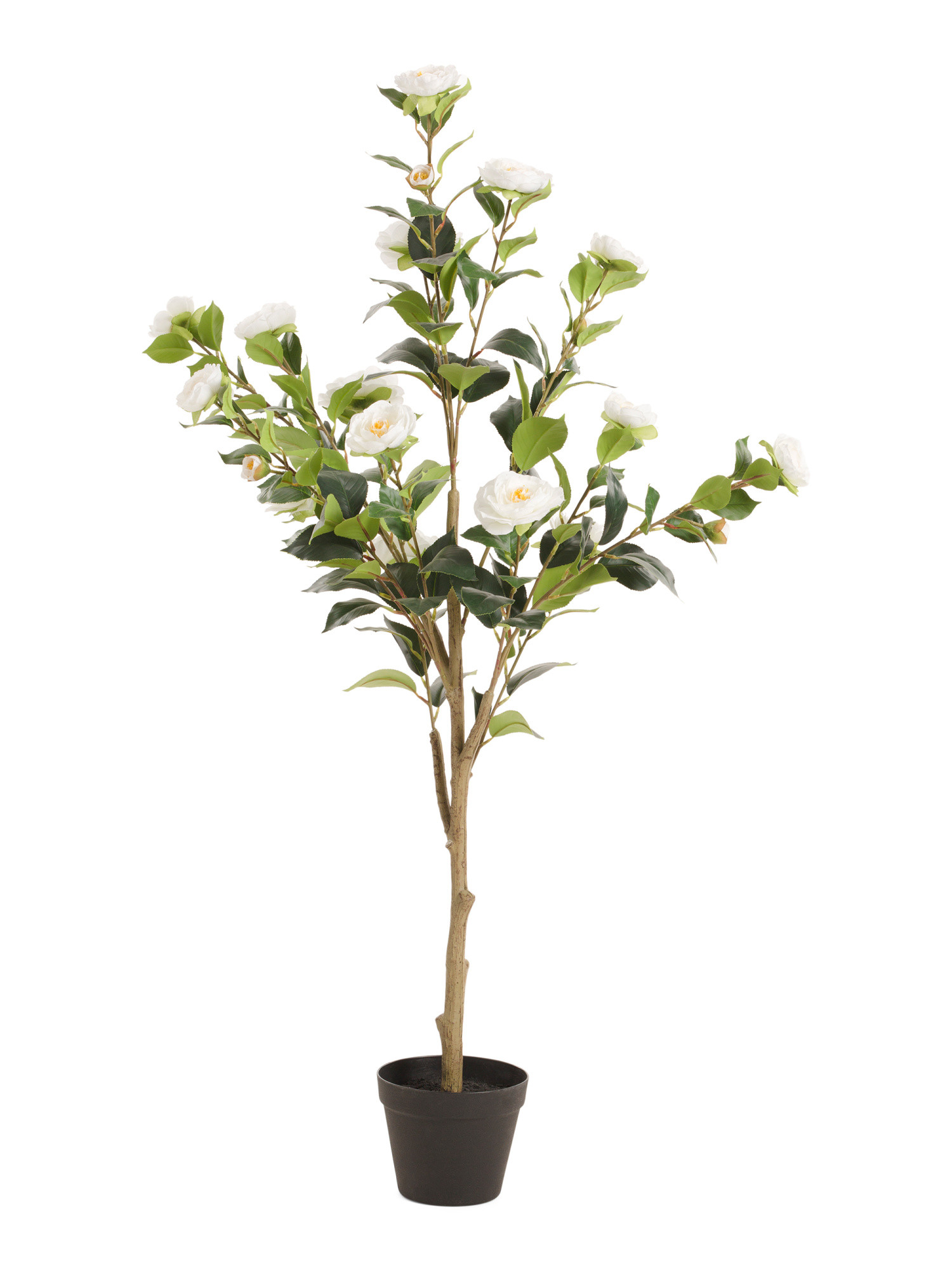 48in Outdoor Safe Uv Resistant Faux Cypress Tree | Plants & Planters | Marshalls | Marshalls