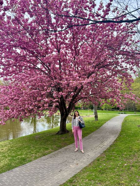 My favorite time of year 🌸 




Pink tree, cherry blossoms, pink flowers, pink pants, striped lady jacket, workwear, spring office style, spring office outfit, striped cardigan, Ann Taylor, Gucci loafers, Gucci mules, work bag, work tote, lawyer, attorney, workwear, spring workwear, lawyer, attorney 

#LTKSeasonal #LTKworkwear #LTKstyletip