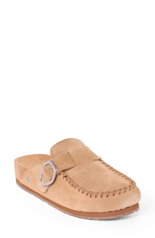 Minnetonka Buckle Clog in Cinnamon at Nordstrom, Size 7 | Nordstrom