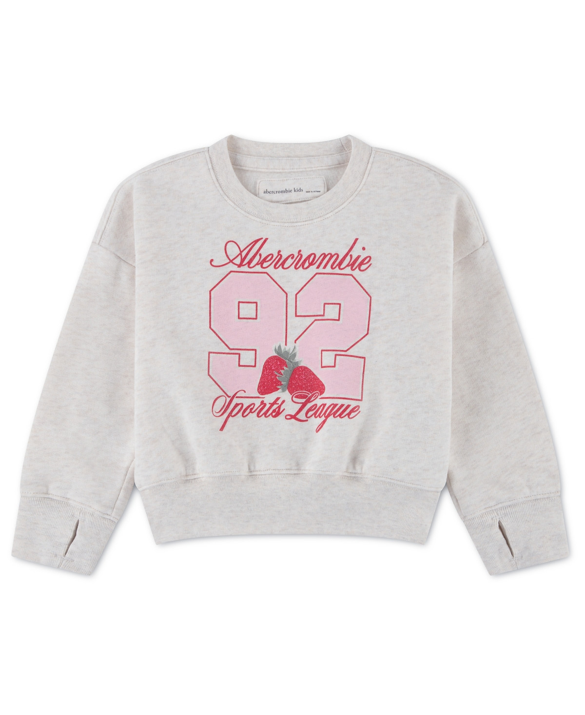 abercrombie kids Toddler Girls' 2T-5T Graphic Crewneck Sweatshirt - Oatmeal Heather | Macy's