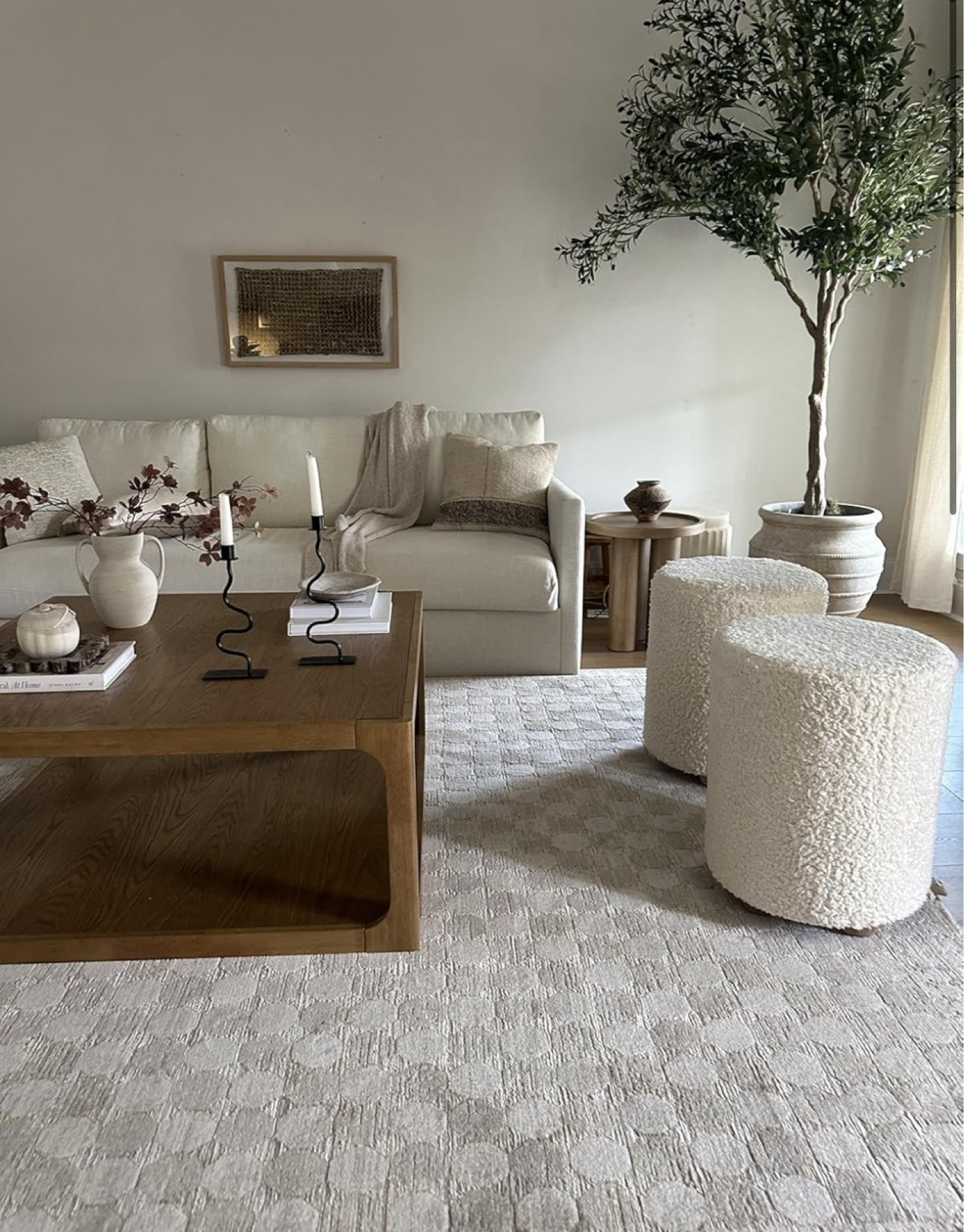 CIL-01 Taupe/ natural area rug!! Beautiful and soft! Neutral rugs, Sherpa ottoman, rug pads, 10’ olive tree Organic modern home decor Interior design 