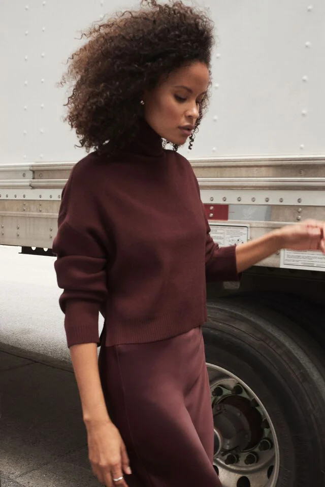 Cropped Turtleneck Sweater | Dynamite Clothing