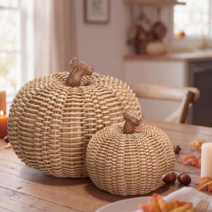 Fuutreo 2 Pack 6.9in 4.3in Pumpkin Fall Decor Resin Woven Pumpkins Figurine | Autumn Beige, Decor... | Amazon (US)