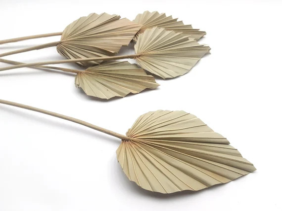Palm Leaves Dried Palm Spears Tropical Palm Leaves Boho | Etsy | Etsy (US)