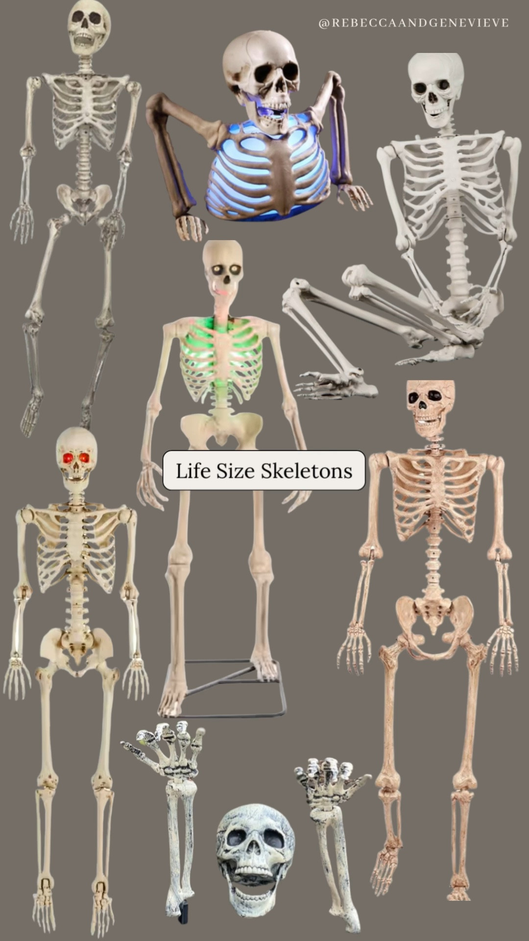 Life size skeletons

#LTKHome #LTKFindsUnder50 #LTKSeasonal