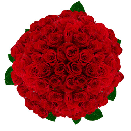 GlobalRose 200 Fresh Cut Red Roses for Valentine's Day - Large Bloom Roses - Fresh Flowers Express D | Walmart (US)