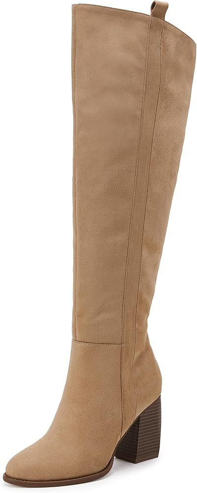 Womens Over The Knee Thigh High Boots Faux Suede Pointed Toe Side Zipper Chunky Block Heel Stretc... | Amazon (US)