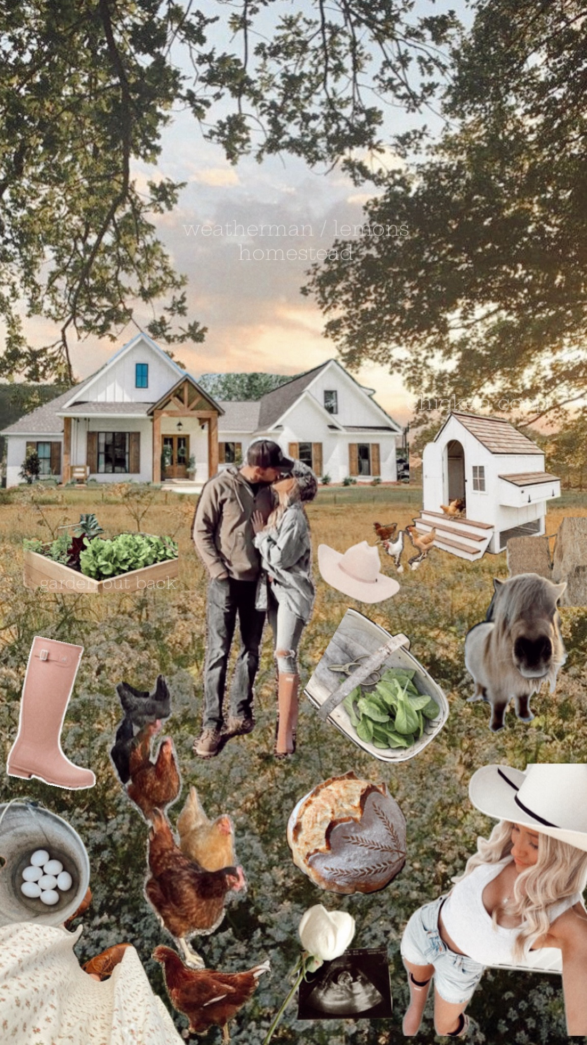 homestead essentials ✨🏡 building process 

#LTKStyleTip #LTKHome #LTKWorkwear