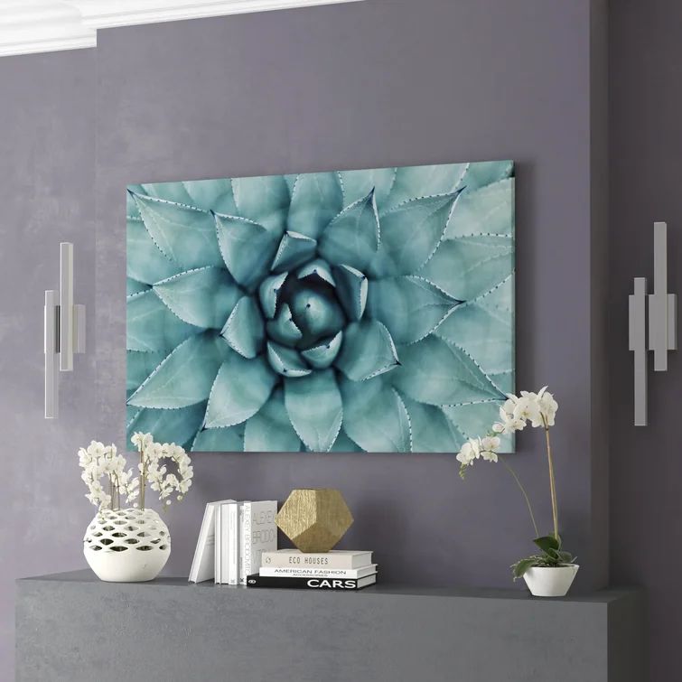 Turquoise Succulent - Wrapped Canvas Photograph | Wayfair North America