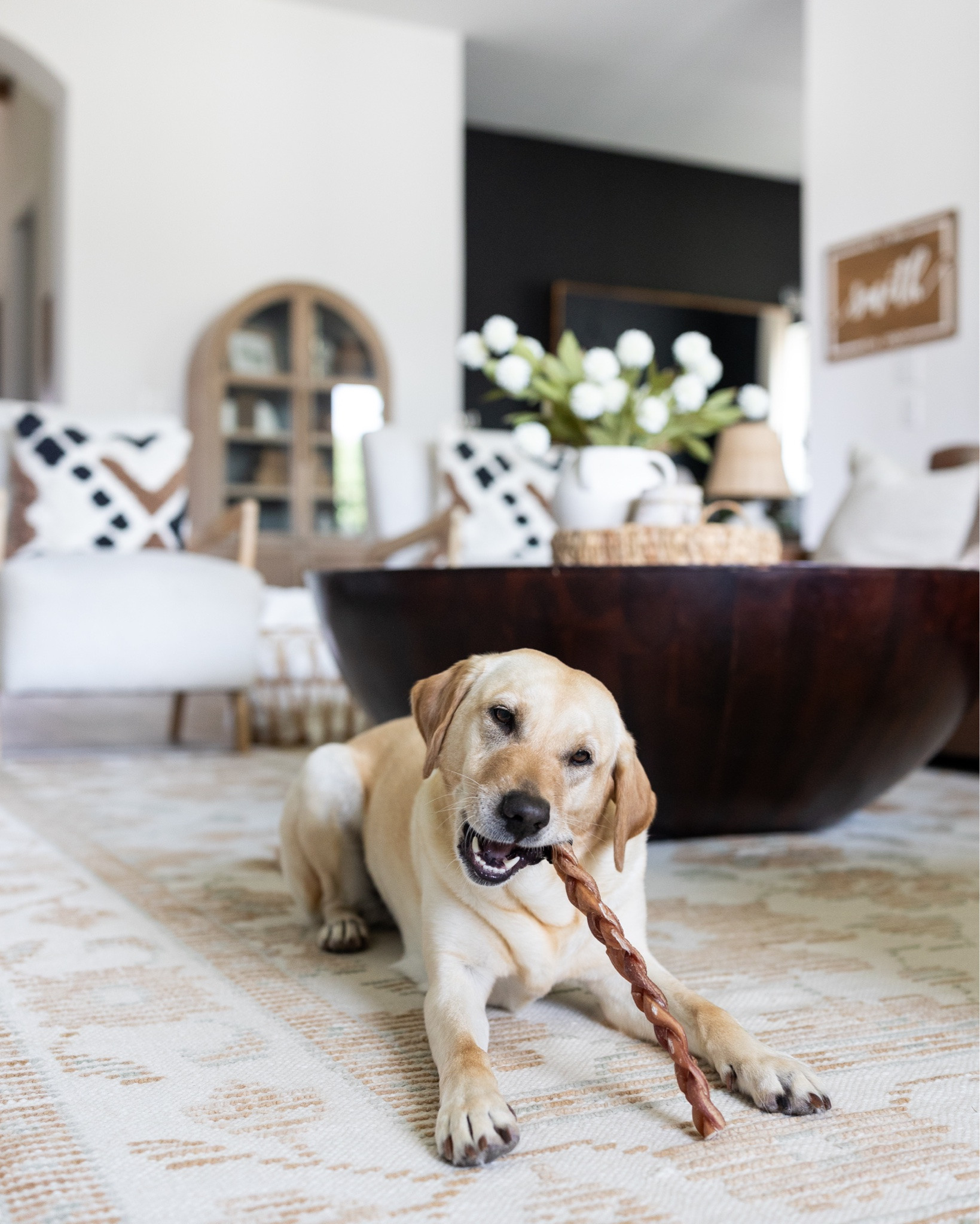 Dog moms (especially with large-breed dogs), these are worth checking out! My labs have been loving these rawhide-free, long-lasting Bully Braids (8–12” size) from @redbarninc. They are a great enrichment chew for rainy days and quiet afternoons at home. #ad #LTKpets

#LTKHome #LTKSaleAlert