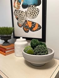 OAKOA Concrete Fruit Bowl for Kitchen Counter - Large Decorative Bowl for Home Decor - Modern Ped... | Amazon (US)