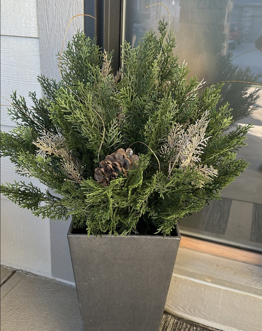 I talk about these cedars all the time but it’s just because they are so good. 

I’ve had the ones out front of my house for over two years- and I have them on the back patio and now at the warehouse. They won’t discolor in the sun and are the best faux plants I’ve had—- and this coming from a live plant killer who only keeps faux. 

Throw in some festive picks (hobby lobby has a ton!) and now they are ready for Christmas season!

#LTKHoliday #LTKHome