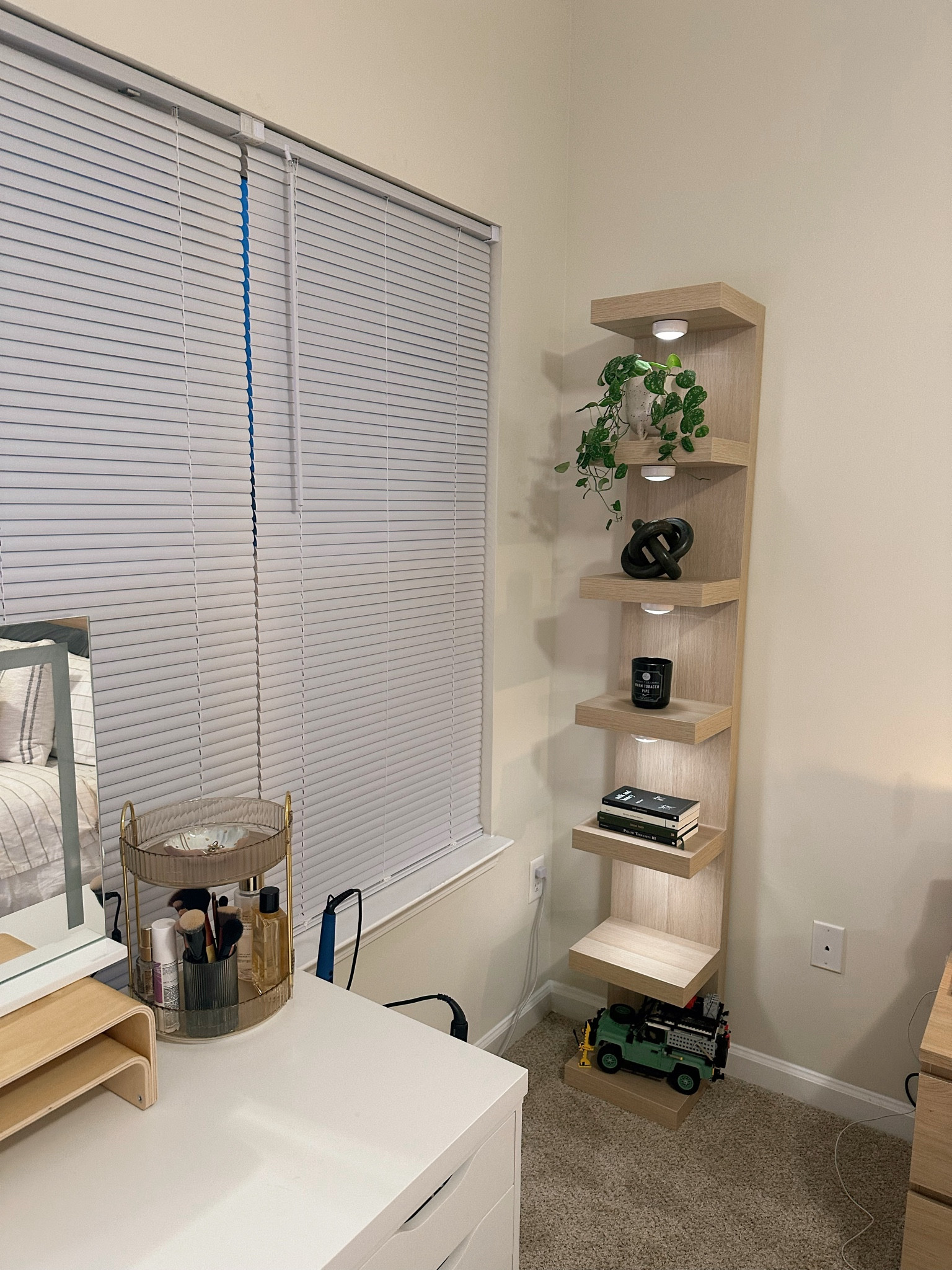 This shelf is so cute for displaying plants, decor, etc. the puck lights just elevate the vibe and you can change colors on it too!