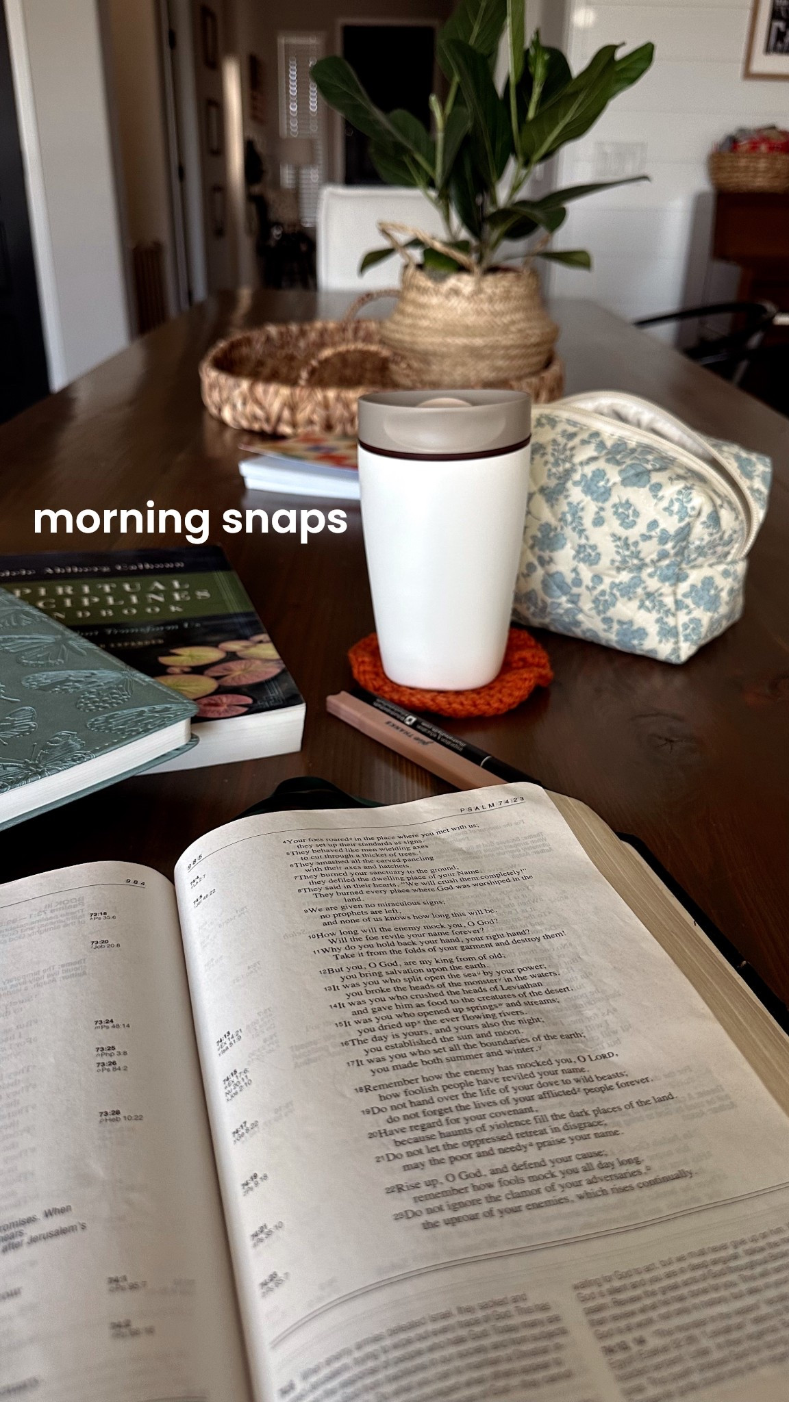 Mid week morning snaps 📸

#LTKFindsUnder50 #LTKFamily