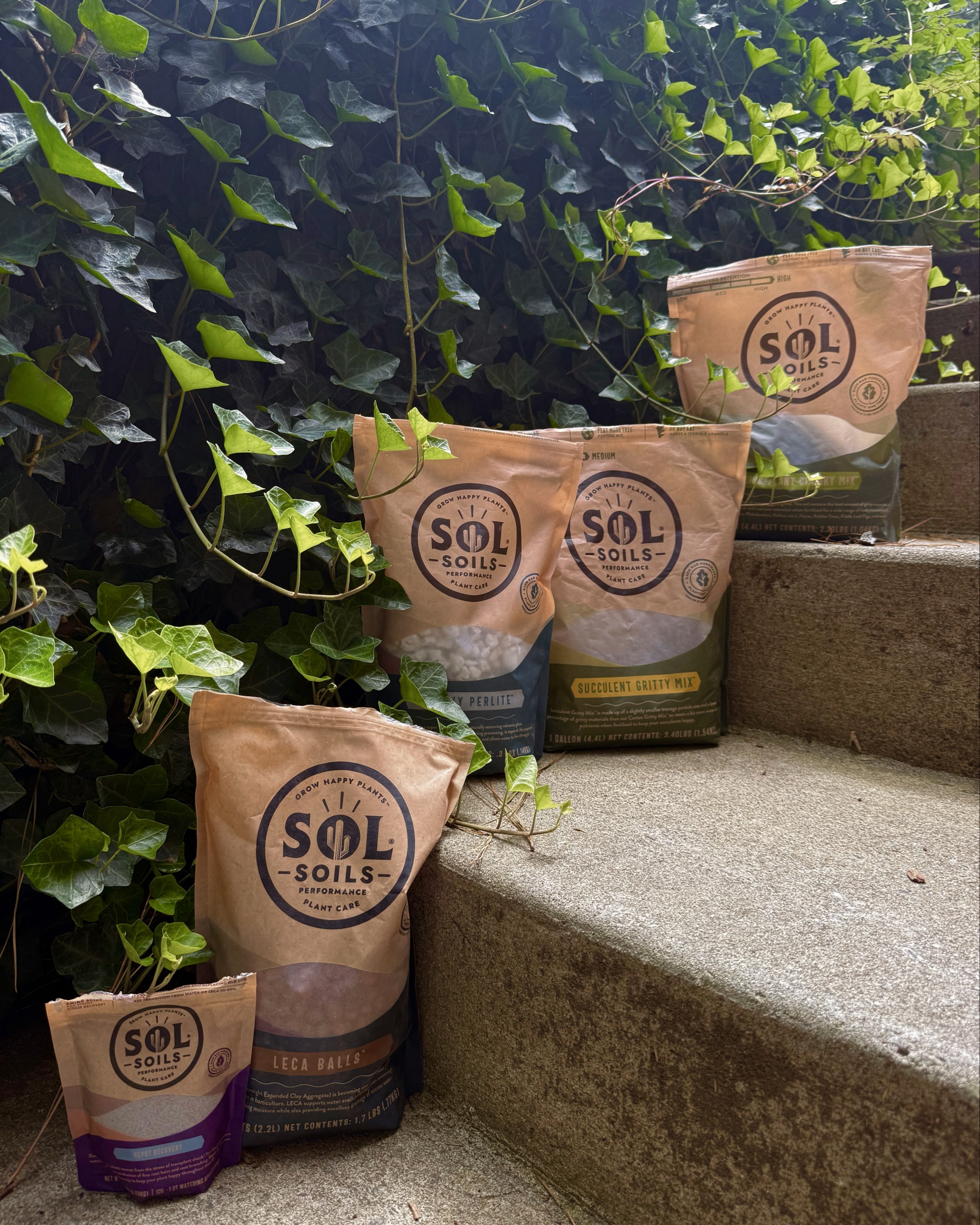 ✨🪴 CALLING ALL PLANT PARENTS 🪴✨

Do you want to hear why I’ll never use regular soil again? As a busy mom of three, sometimes my plants can suffer. But with Sol Soils- my plants are getting all the moisture and drainage they need to thrive- and with fewer watering days! 

I knew I had a couple plants in severe need of a repot. Yellowing leaves, stinky soil, and poor drainage are all signs of root rot in your indoor plants. Sol Soils chunky mixes are more forgiving, all natural, and functional. Sol Soils mixes and repot recovery can save your plants and cut down time on plant chores! 

My favorite products are: 
🌿 Houseplant Chunky Mix
🌿 Succulent Gritty Mix 
🌿 LECA Balls 
🌿 Chunky Perlite 
🌿 Repot Recovery

You’re going to have better drainage, fewer watering days 🙌🏻, and no more root rot! If you’ve ever struggled with indoor plants level up with @solsoils now on my LTK! 

#LTKFamily #LTKSeasonal #LTKHome