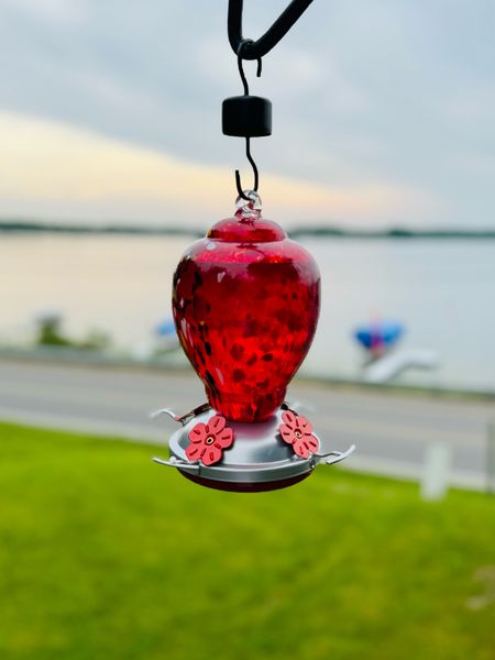 Hummingbird feeder - this makes a good Father’s Day gift for the dad that loves his backyard birds.

#LTKHome #LTKGiftGuide #LTKFindsUnder50