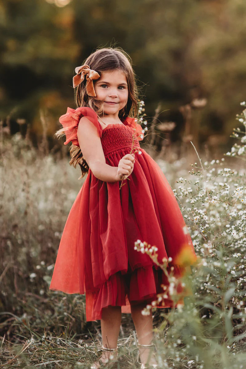 Juliet Tulle Dress (venetian red) | INDIE BLUE