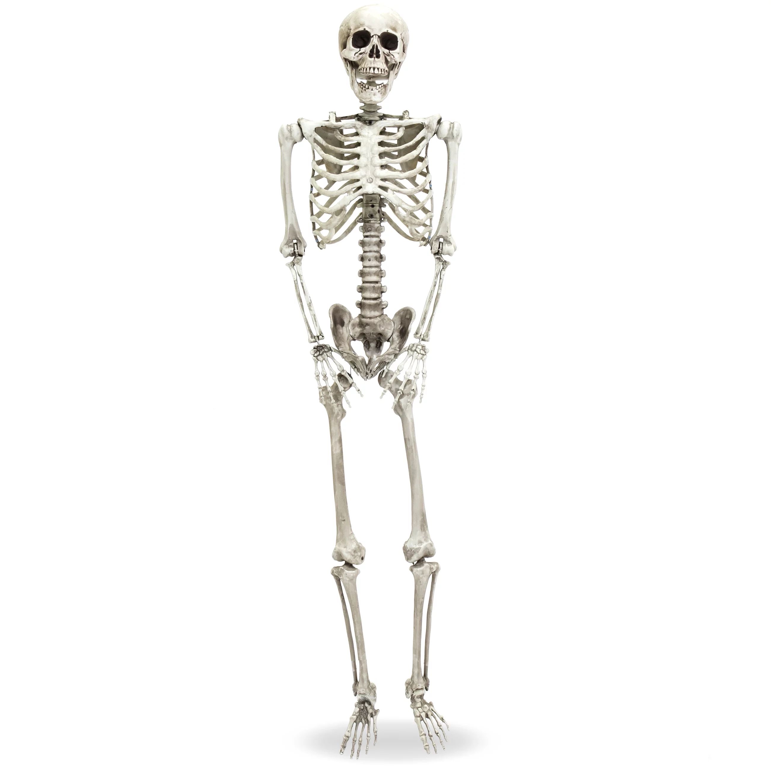 Best Choice Products 5ft Full Body Hanging Posable Skull Skeleton Halloween Decoration w/ Movable... | Walmart (US)