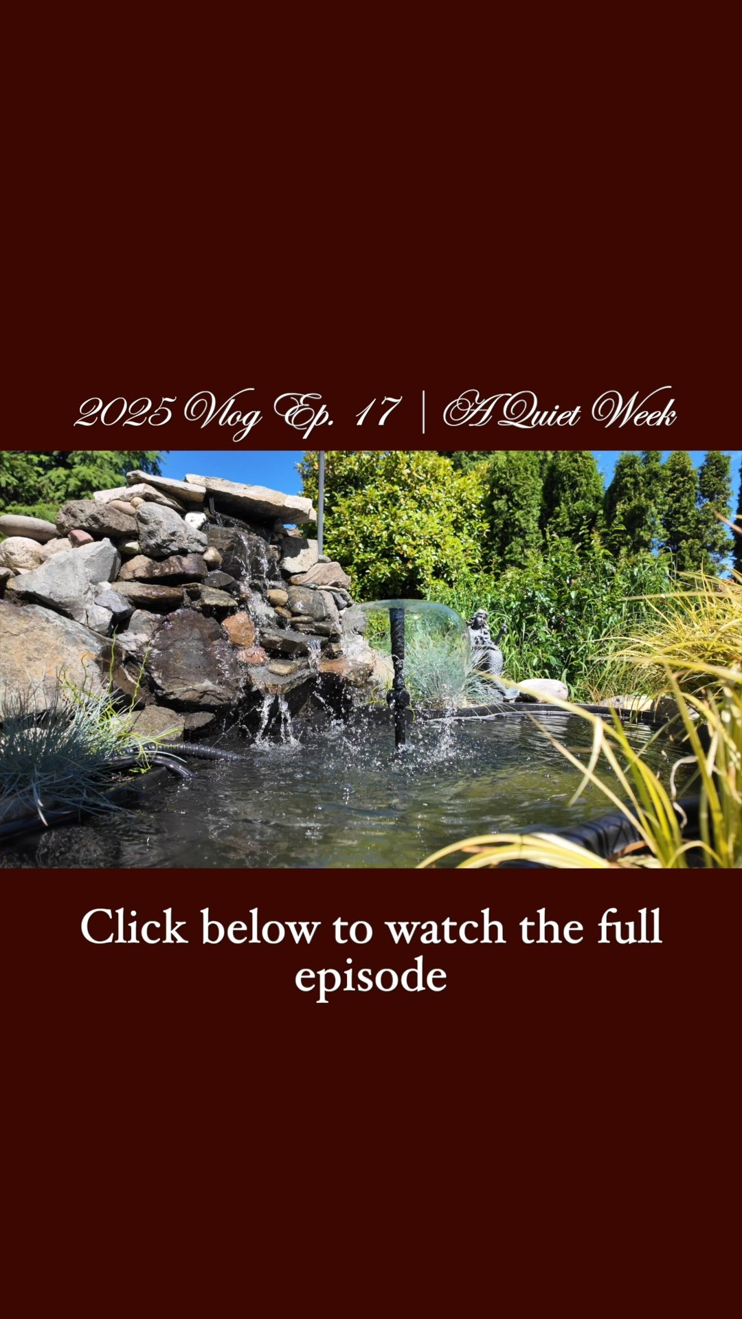 A glimpse of this week’s vlog, watch the full episode on my channel.


#LTKHome #LTKSeasonal #LTKPlusSize