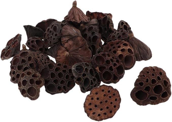 Harilla 30pcs Natural Dried Home Decor Flower Art | Amazon (US)