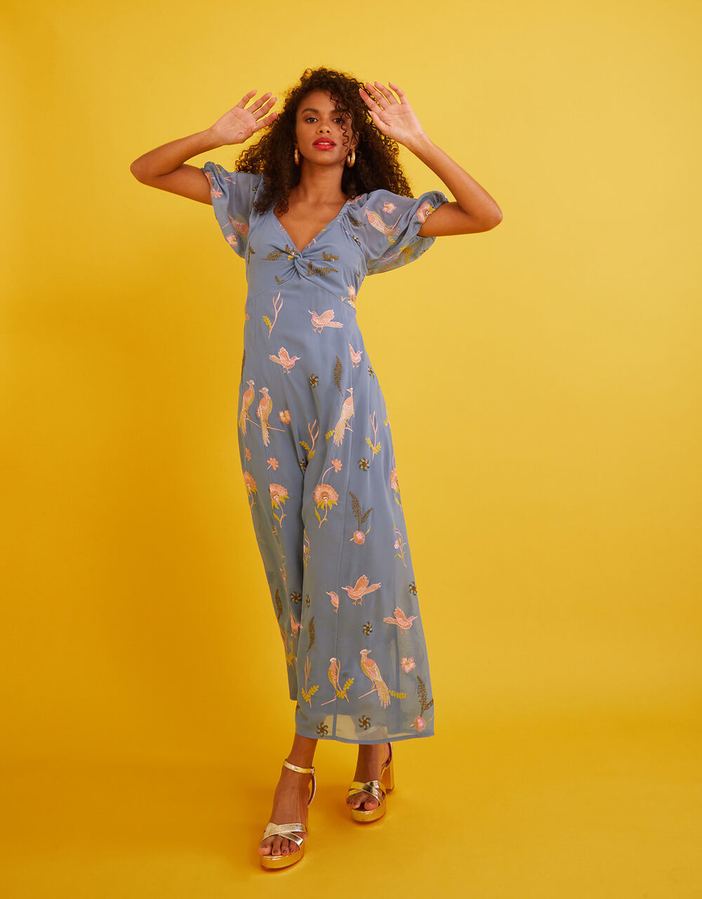 Dani Embroidered Midi Dress  Blue | Monsoon (UK)