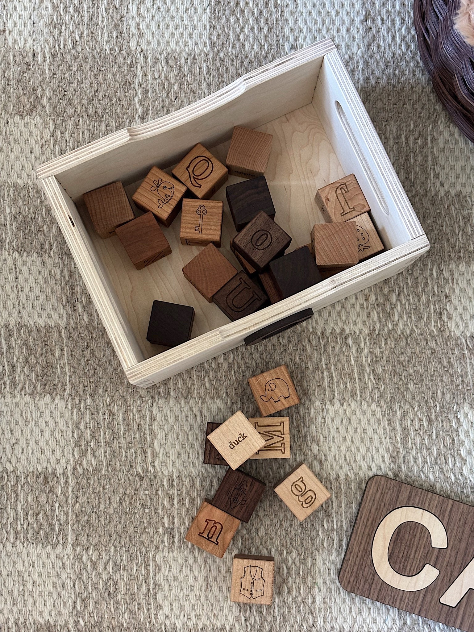 Alphabet blocks 🤎

A classic toy that makes learning feel natural. Alphabet blocks are perfect for early word recognition, stacking, and open-ended play—simple, timeless, and always in rotation.

Alphabet blocks, wooden alphabet blocks, toddler learning toys, educational toys for toddlers, classic kids toys, Montessori toys, early learning toys, stacking toys for toddlers, neutral kids toys, timeless toys

#LTKBaby #LTKKids #LTKBump