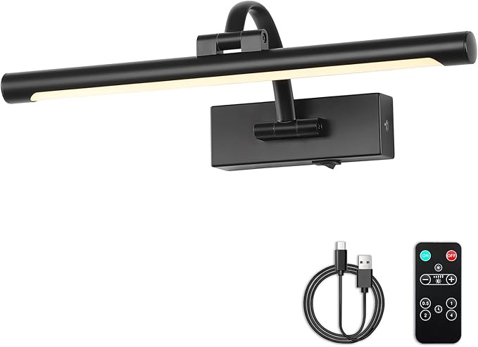 Picture Lights Battery Operated with Remote and Dimmable Function, Rechargeable Gallery Light Bla... | Amazon (US)