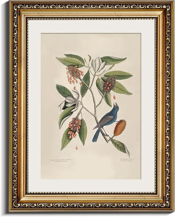 InSimSea Gold Framed Canvas Wall Art Room Decor Botanical Art Home Decoration Vintage Blue Birds ... | Amazon (US)