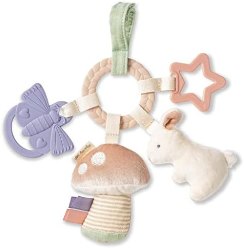 Itzy Ritzy - Bitzy Busy Ring Teething Activity Toy, Bunny | Amazon (US)