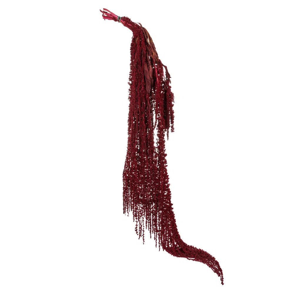 Loon Peak® 30" Amaranthus Bundle, Preserved | Wayfair | Wayfair North America