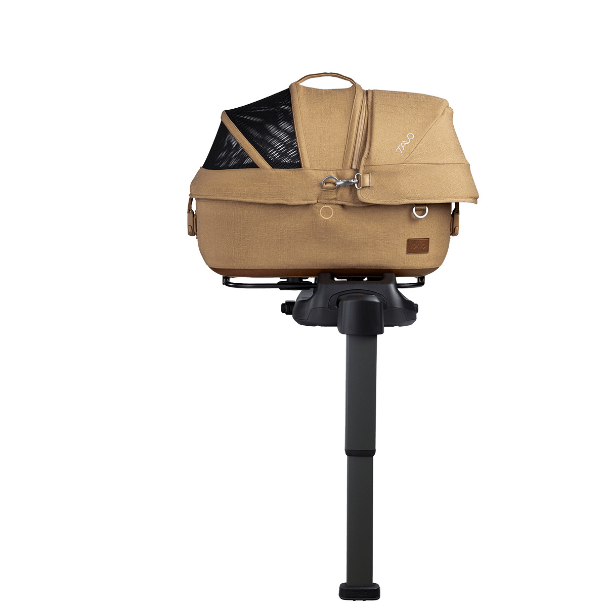 Maeve™ | Tavo Pets