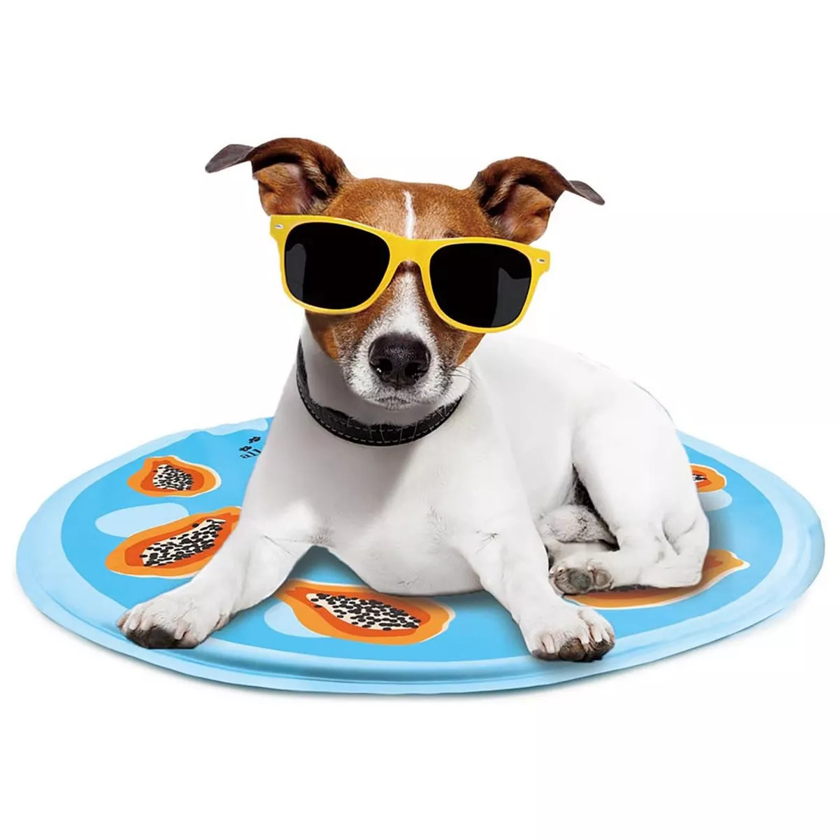 Chill Out- Papaya Cooling Mat for Dogs | Target