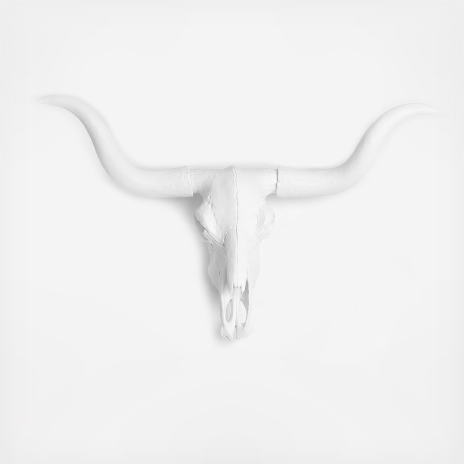 White Faux Taxidermy Resin Faux Taxidermy Cow Skull - White | Zola