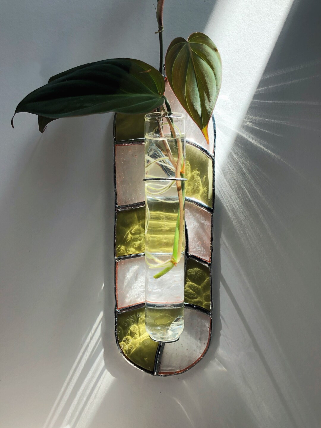 Wavy Checker Stained Glass Plant Propagator - Etsy | Etsy (US)