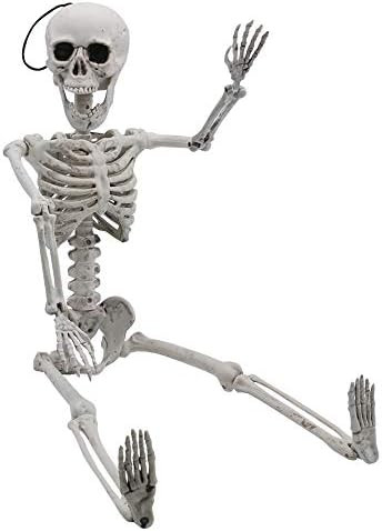 Amazon.com: 24” Halloween Decoration Pose-N-Stay Full Body Skeleton Plastic Bone with Posable J... | Amazon (US)