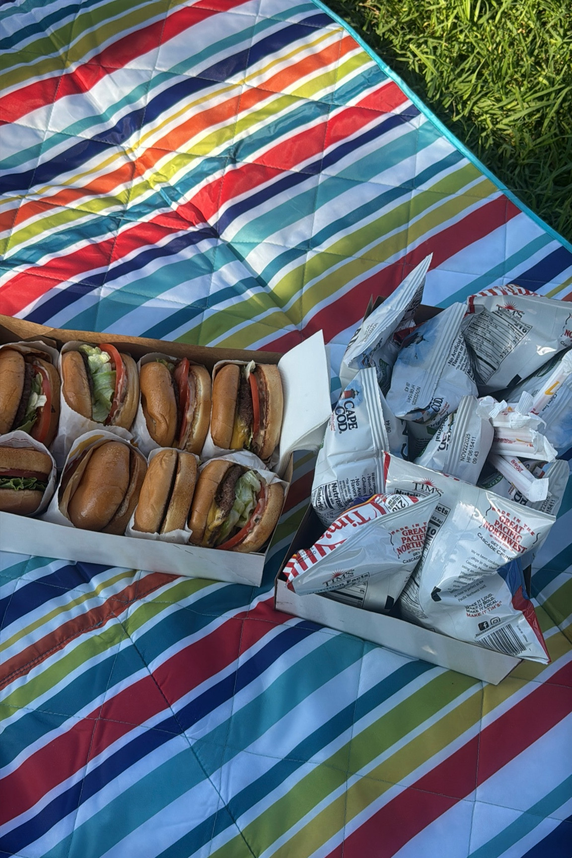 summer picnics 

#LTKSeasonal #LTKFindsUnder50