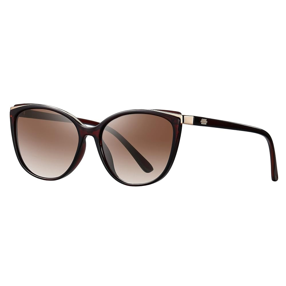 Trendy Cat Eye Sunglasses for Women Fashion Cateye UV400 Protection Glasses CL22017 | Amazon (US)