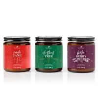 Holiday Lights Candle 3-Pack | Plant Therapy