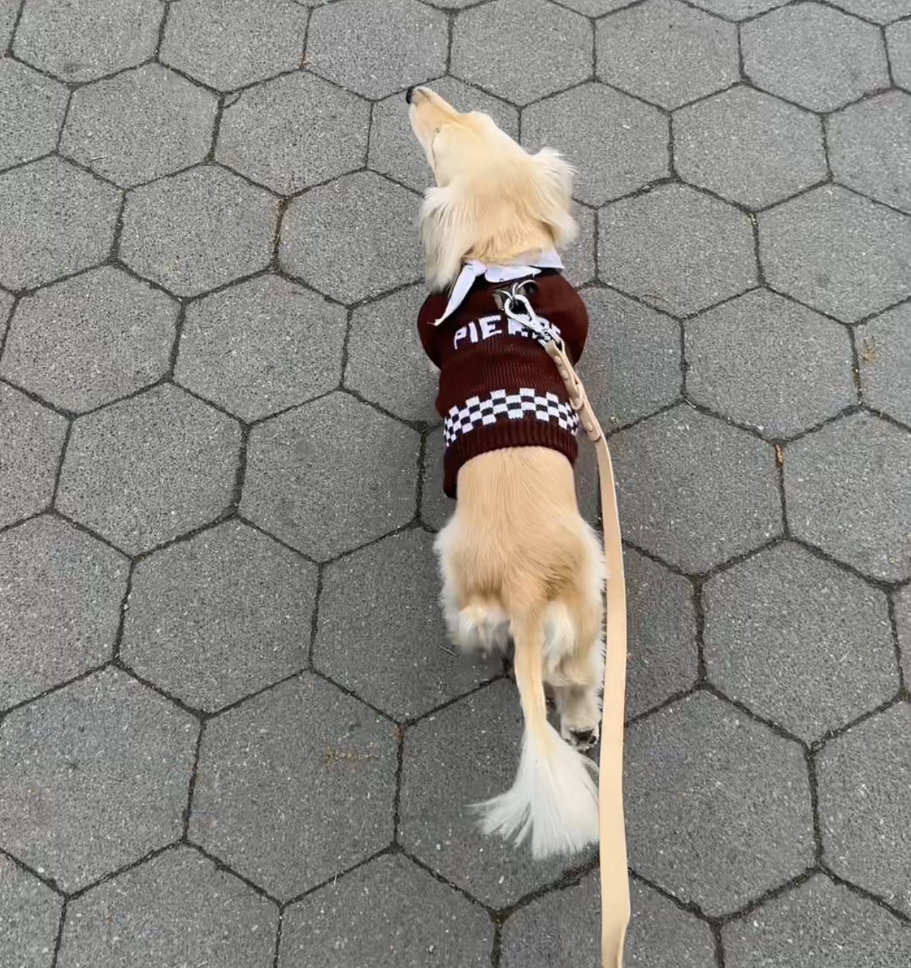 Found this adorable custom sweater for our little prince

#LTKootd