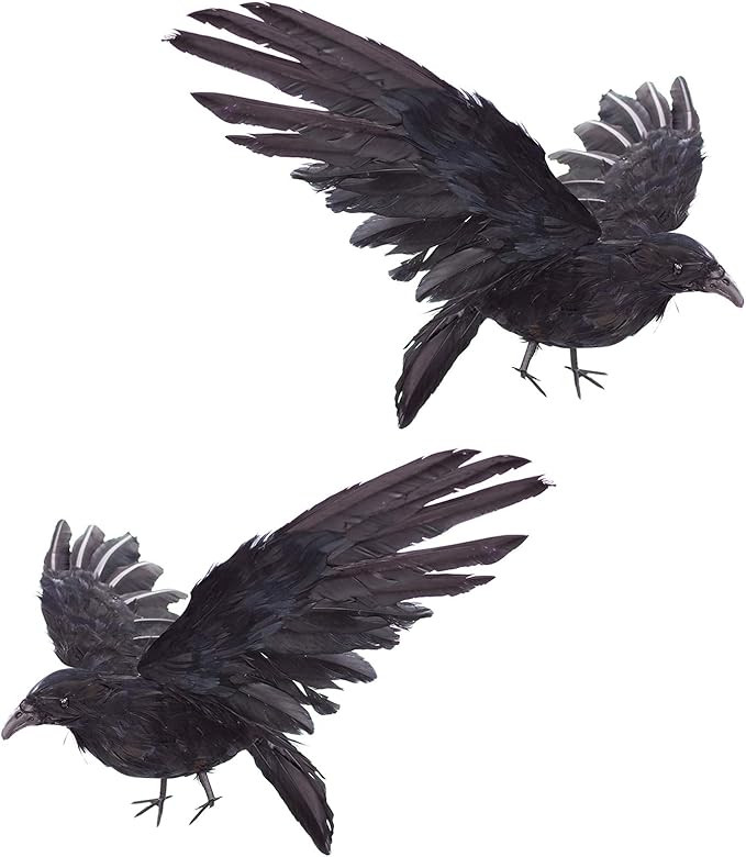 2-Pack Realistic Crows Lifesize Extra Large Handmade Black Feathered Crow for Halloween Decoratio... | Amazon (US)