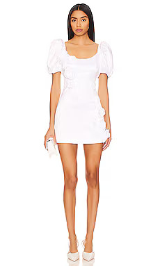 Selena Mini Dress
                    
                    Lovers and Friends | Revolve Clothing (Global)