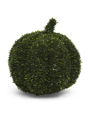 18in Boxwood Middle Pumpkin | Marshalls