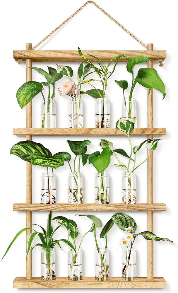 Plant Propagation Stations Wall Hanging Plant Terrarium with Wooden Stand, Wall Planters Vase for... | Amazon (US)