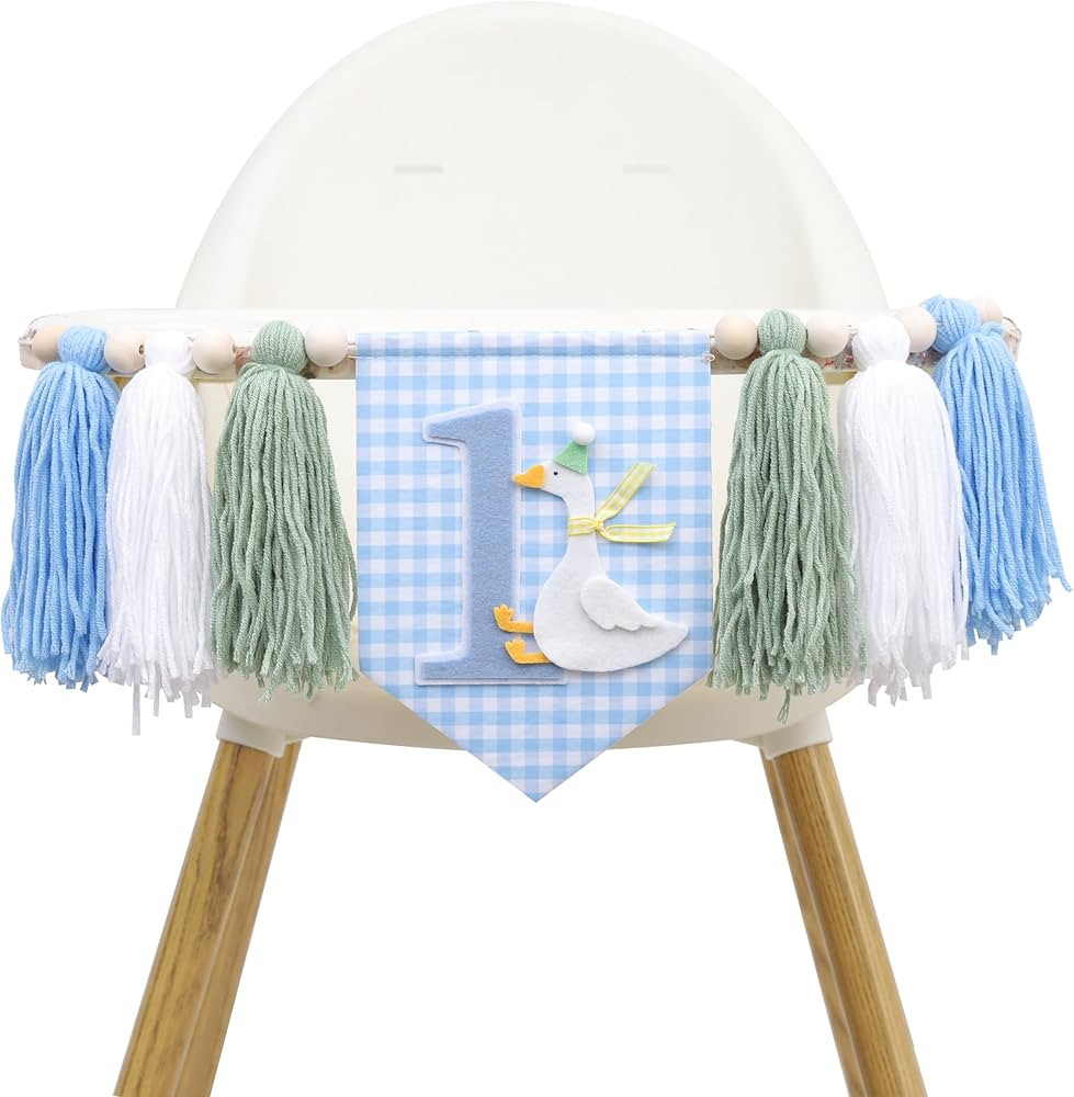 One Funny Goose High Chair Banner for Boys - Goose Theme 1st Birthday Decorations, Blue Gingham S... | Amazon (US)