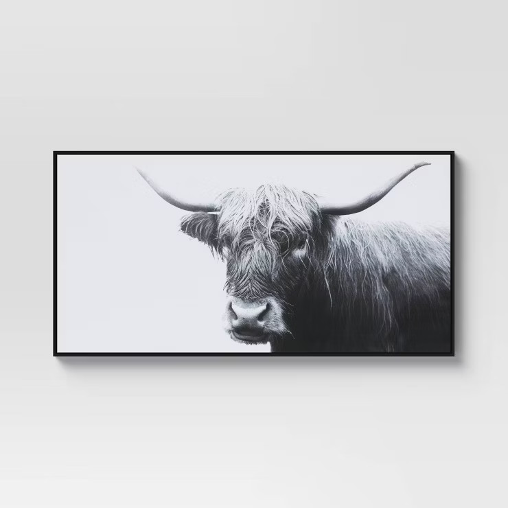 47" x 24" Highland Cow Framed Canvas - Threshold™ | Target
