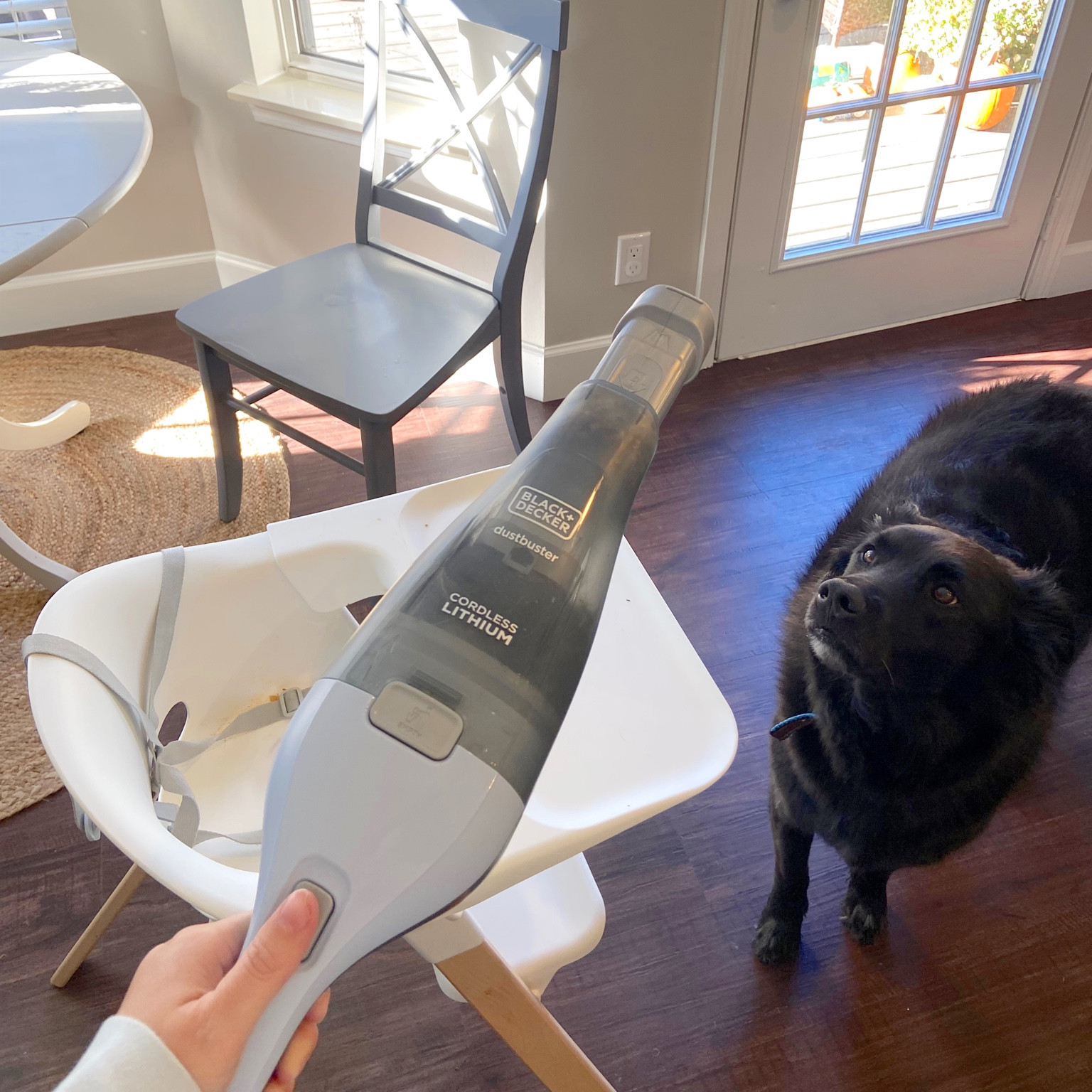 A must have in our house with a toddler who loves to throw food😅 
Riv also helps with cleaning 🧹 

#LTKhome #LTKbaby