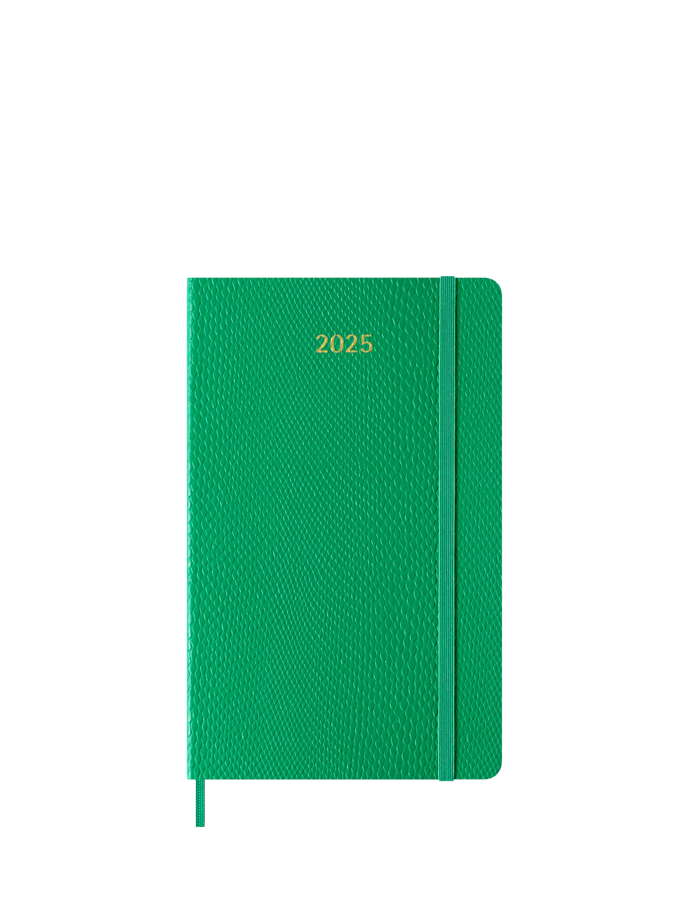 MoleskineA5 Precious Week on One Page 2025 Diary, Green | John Lewis (UK)