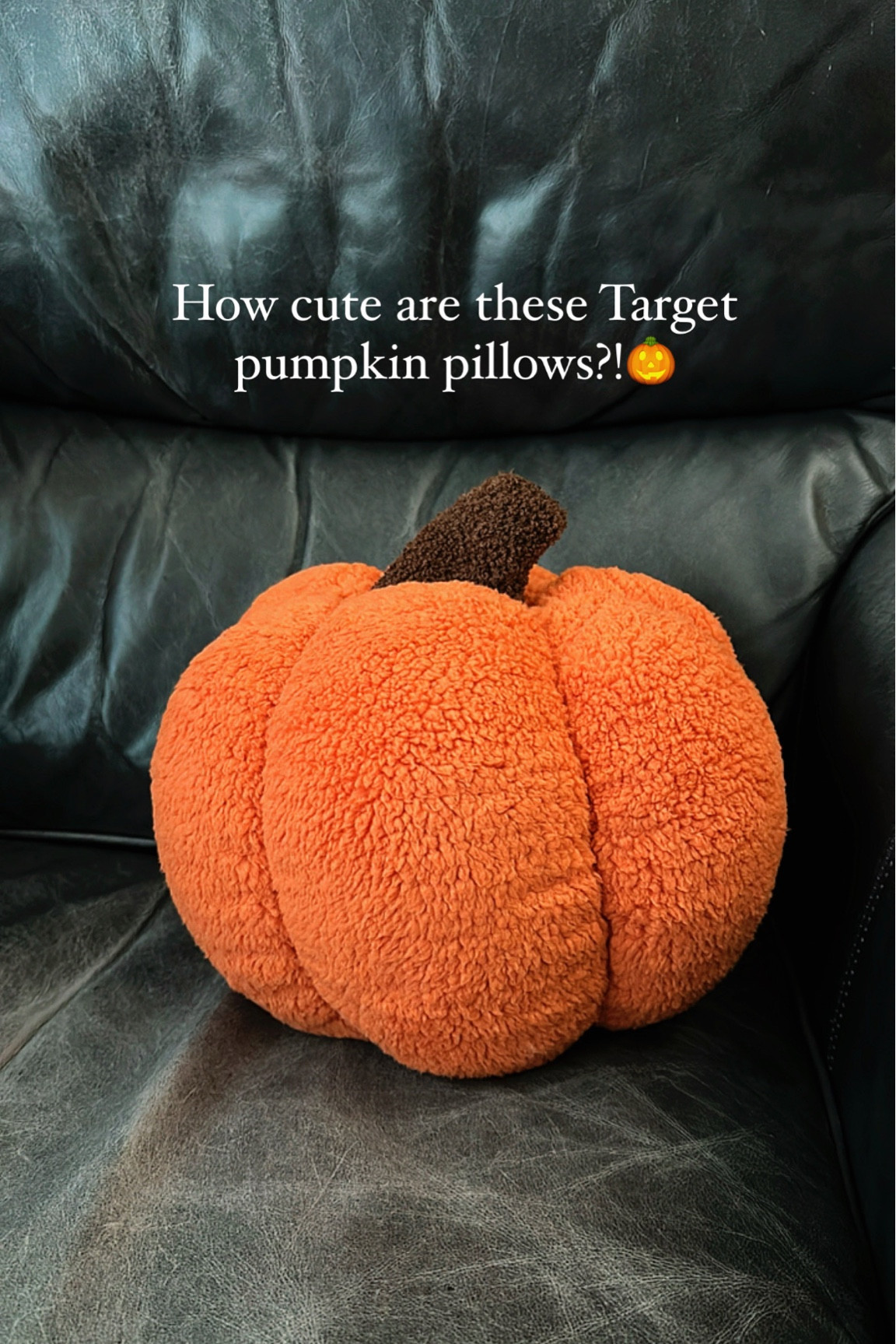 Super cute pumpkin pillows, medium/large sized at Target! $10 

#LTKHalloween #LTKHoliday #LTKhome