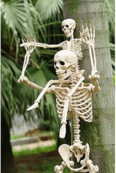 Crazy Bonez Poseable Skeleton Decoration, 36" | Amazon (US)